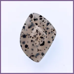 MOM469c Montana Moss Agate Cabochon